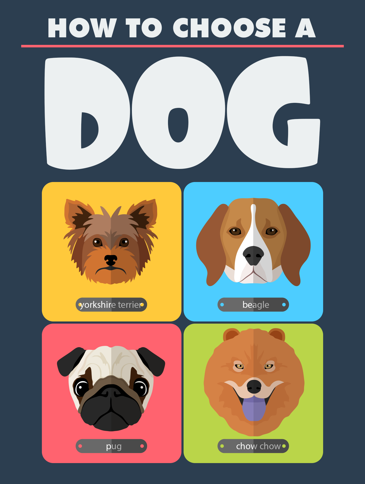 How to Choose A Dog PLR Products